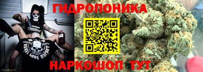 прущие грибы Пугачёв
