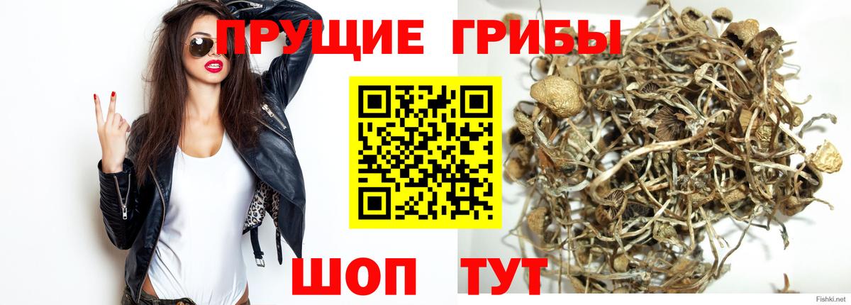 Галлюциногенные грибы ЛСД  Вход с VPN  Ростов Великий 